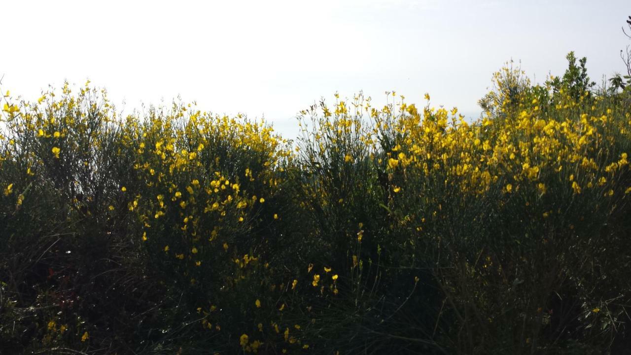 לינה וארוחת בוקר נולי Antemare מראה חיצוני תמונה